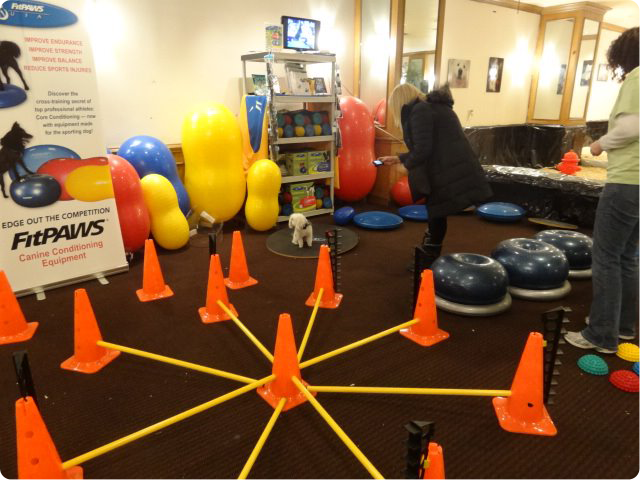 FitPAWS Hurlde Set 4 Jumps