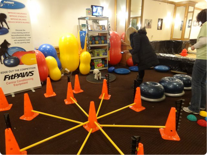 FitPAWS Hurlde Set 4 Jumps