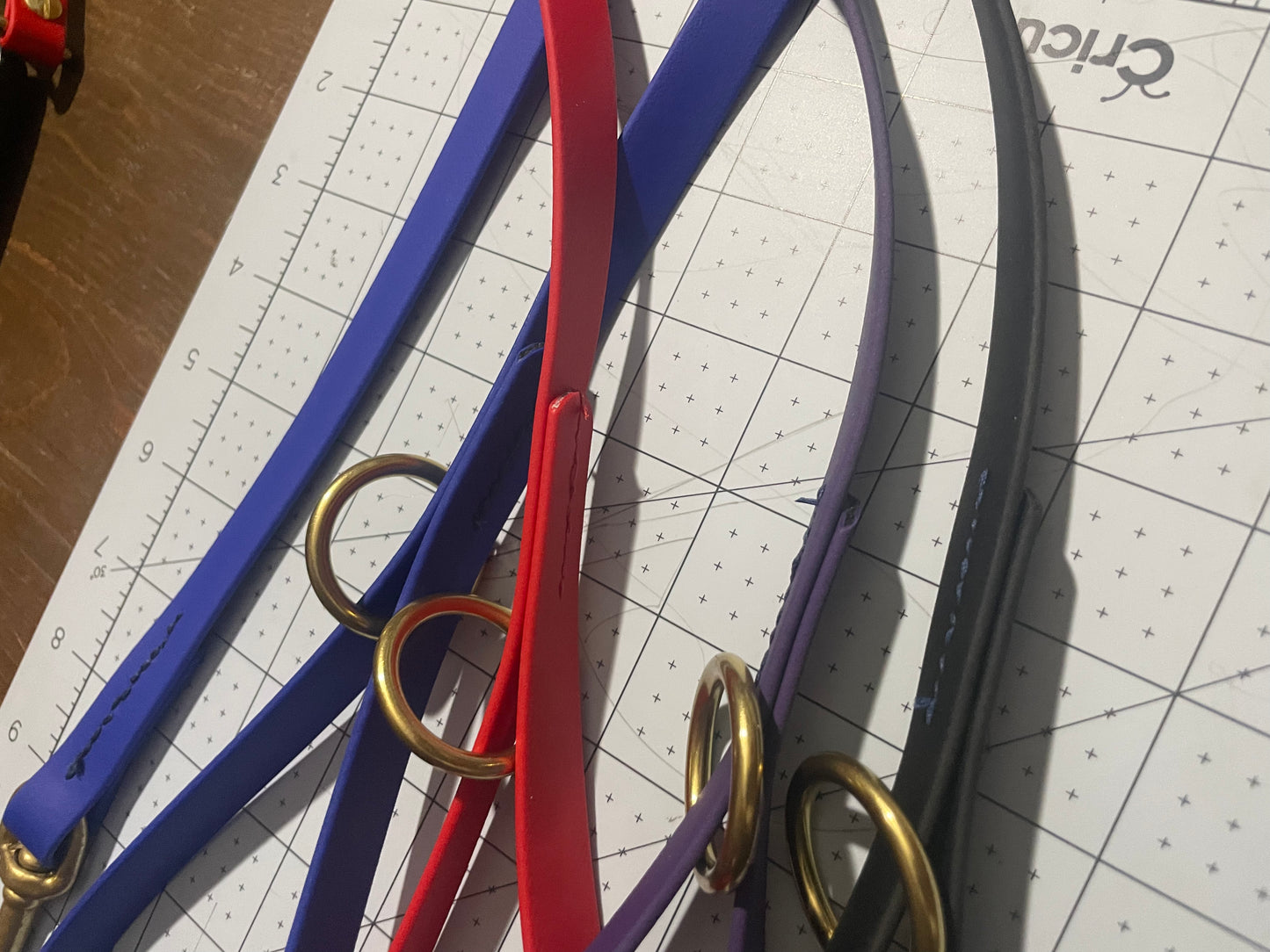 Give the Dog a Ball 6 foot BioThane Leash with Accessory Ring