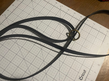 Give the Dog a Ball 6 foot BioThane Leash with Accessory Ring