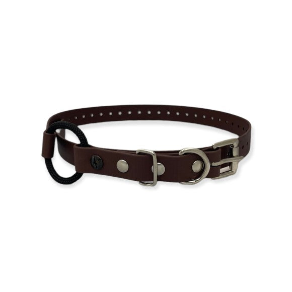 Bungee Collar for E-collar
