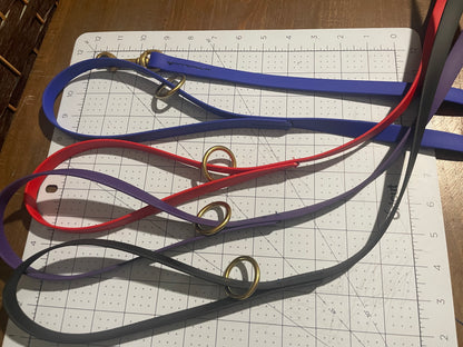 Give the Dog a Ball 6 foot BioThane Leash with Accessory Ring