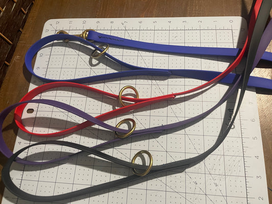 Give the Dog a Ball 6 foot BioThane Leash with Accessory Ring