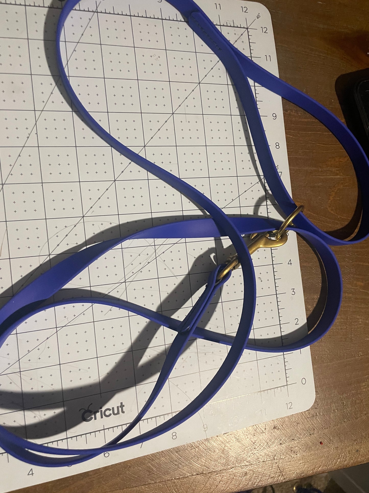 Give the Dog a Ball 6 foot BioThane Leash with Accessory Ring