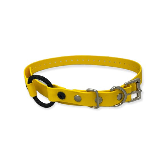 Bungee Collar for E-collar