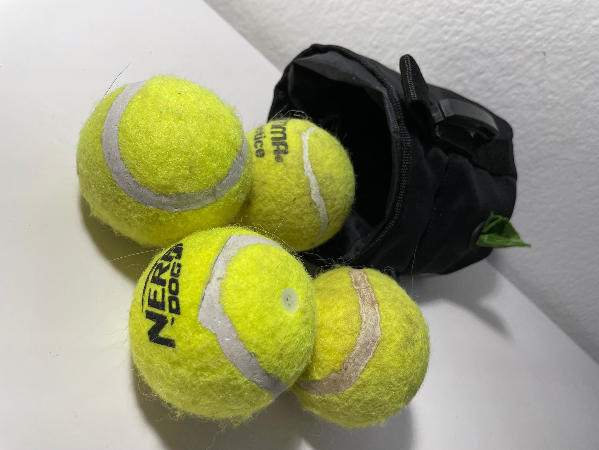 Dogline Treat Pouch with Waste Bag Dispenser