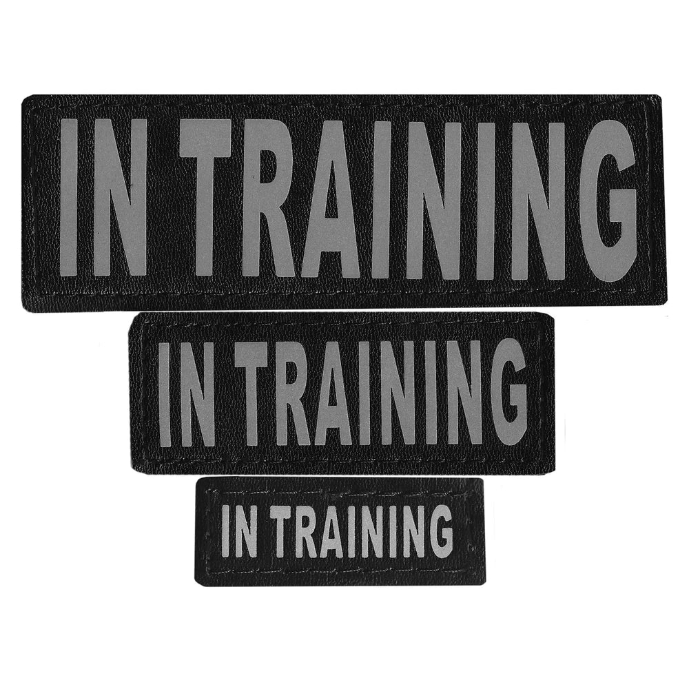 Dogline Removable Rectangle Patches