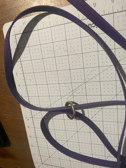 Give the Dog a Ball 6 foot BioThane Leash with Accessory Ring