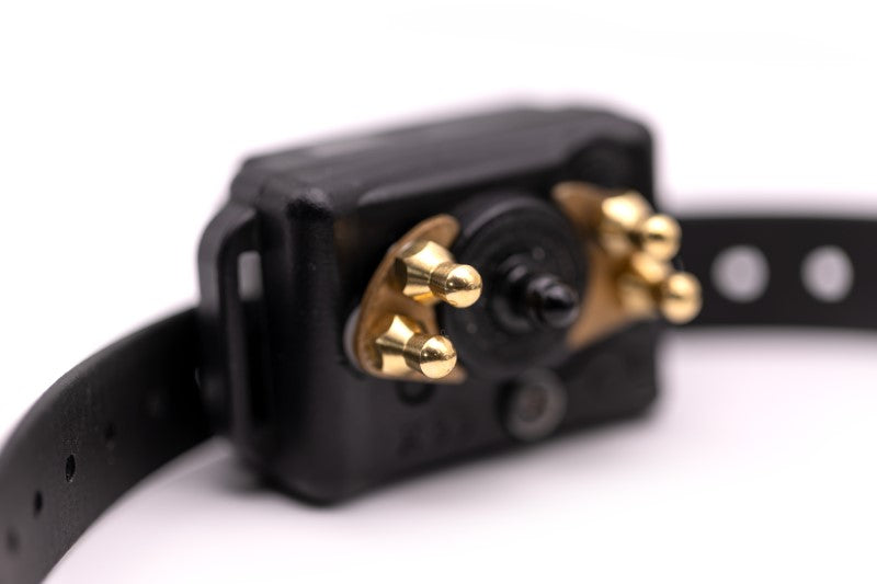 Educator Technologies Educator BP-504 Anti Bark Collar Comfort Pads