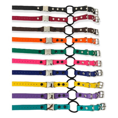 Bungee Collar for E-collar