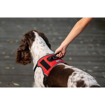 Dogline Quest No Pull Harness
