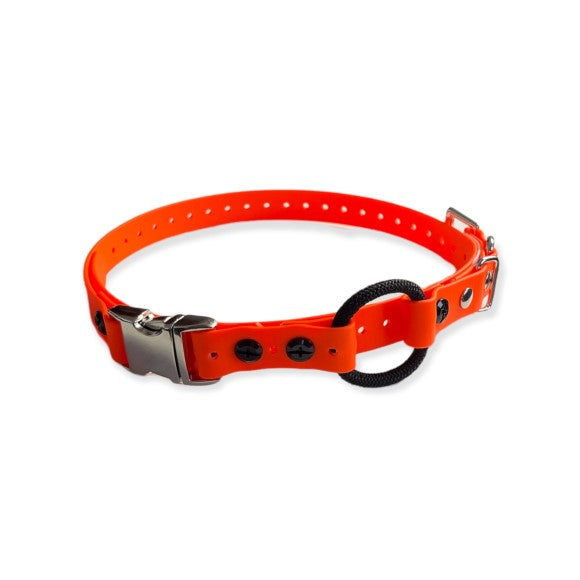 Bungee Collar for E-collar
