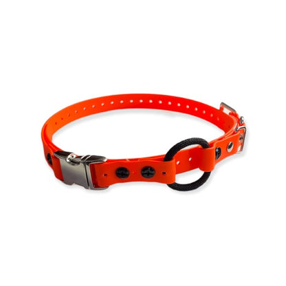 Bungee Collar for E-collar