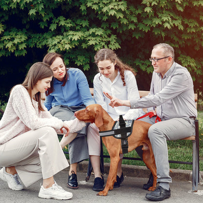 Dogline Unimax Harness