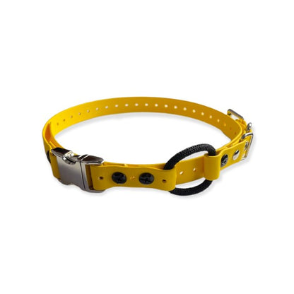Bungee Collar for E-collar