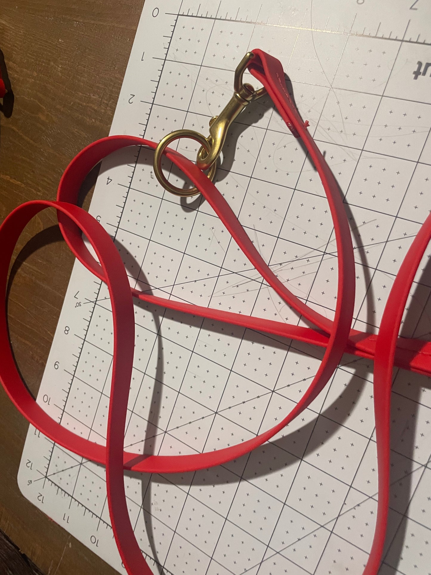 Give the Dog a Ball 6 foot BioThane Leash with Accessory Ring