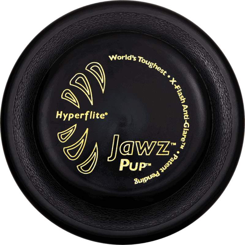 Disc Dogs! The Complete Guide with Disc by Peter Bloeme and Jeff Perry