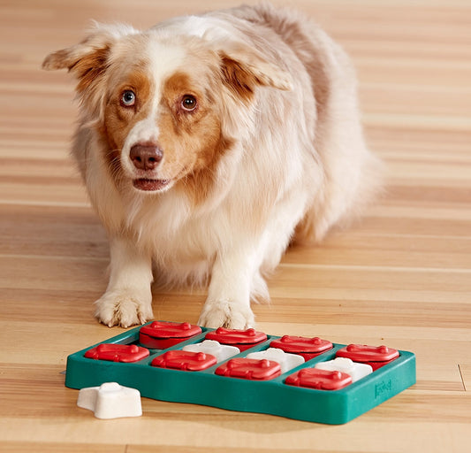 Nina Ottosson Puzzle Brick