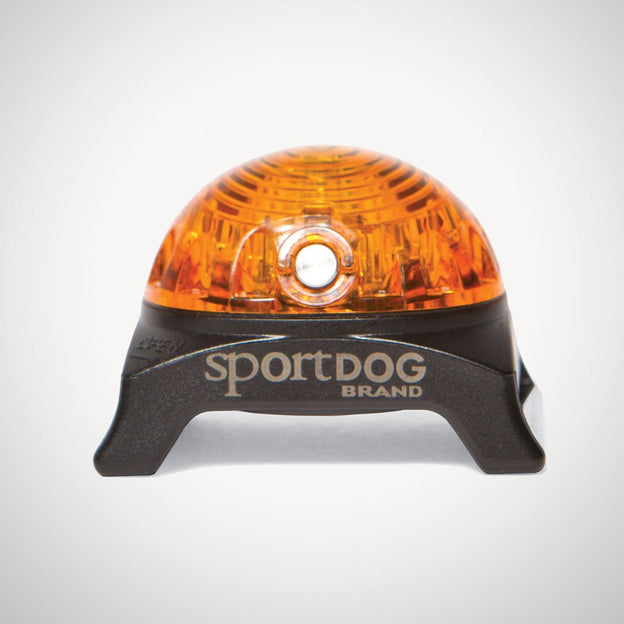 SportDog Locator Beacon