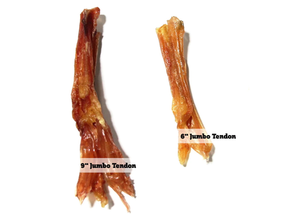 Fantastic Dog Chews Beef Tendons