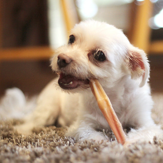 Fantastic Dog Chews 6 inch Bully Sticks